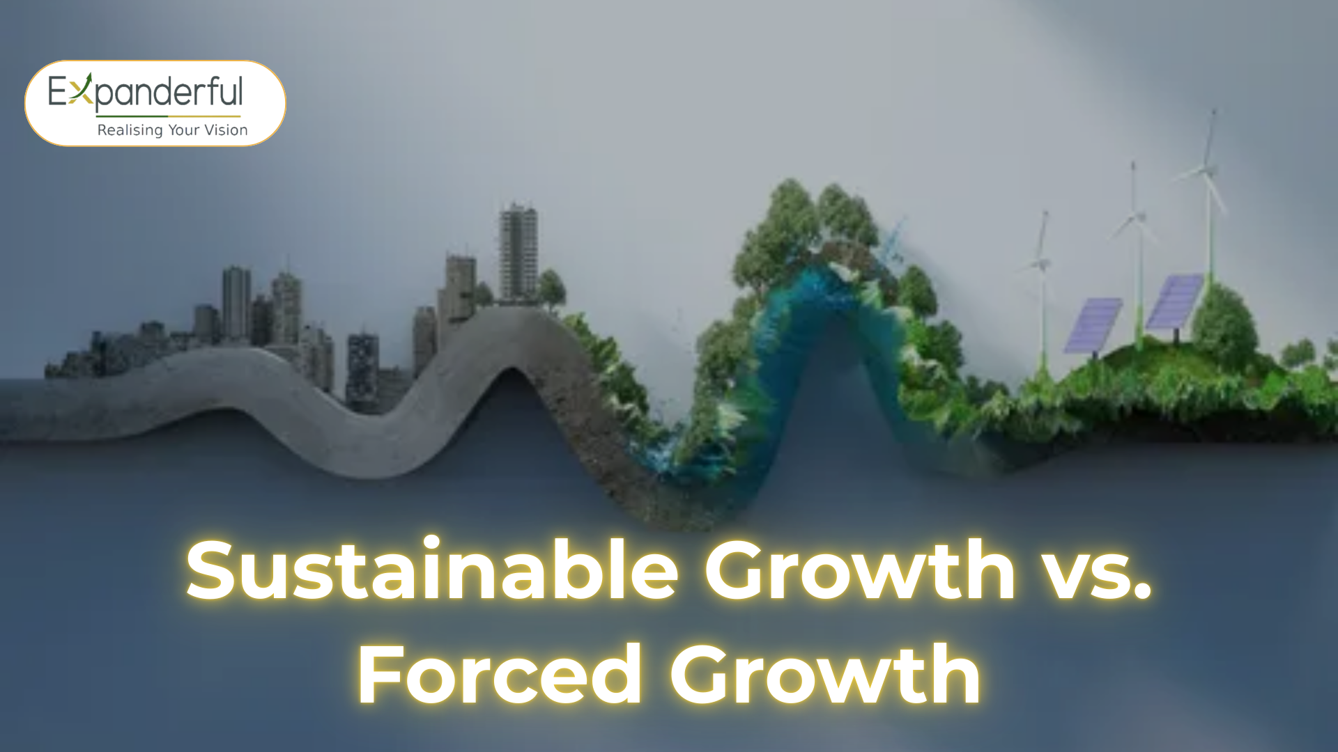  Sustainable Growth vs. Forced Growth